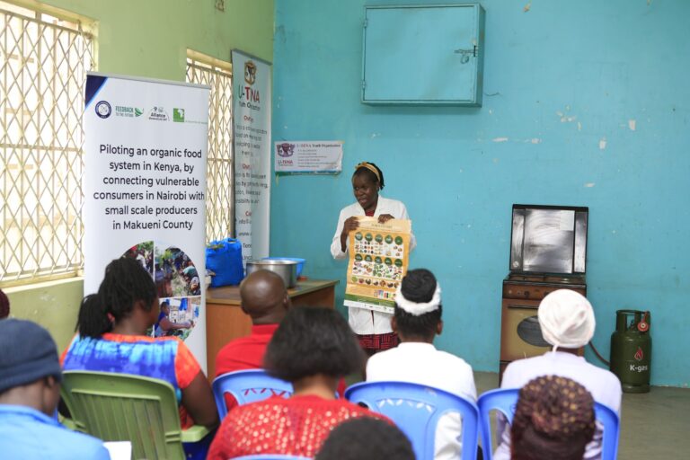 Research and Monitoring Systems on Diabetes  and other NCDs