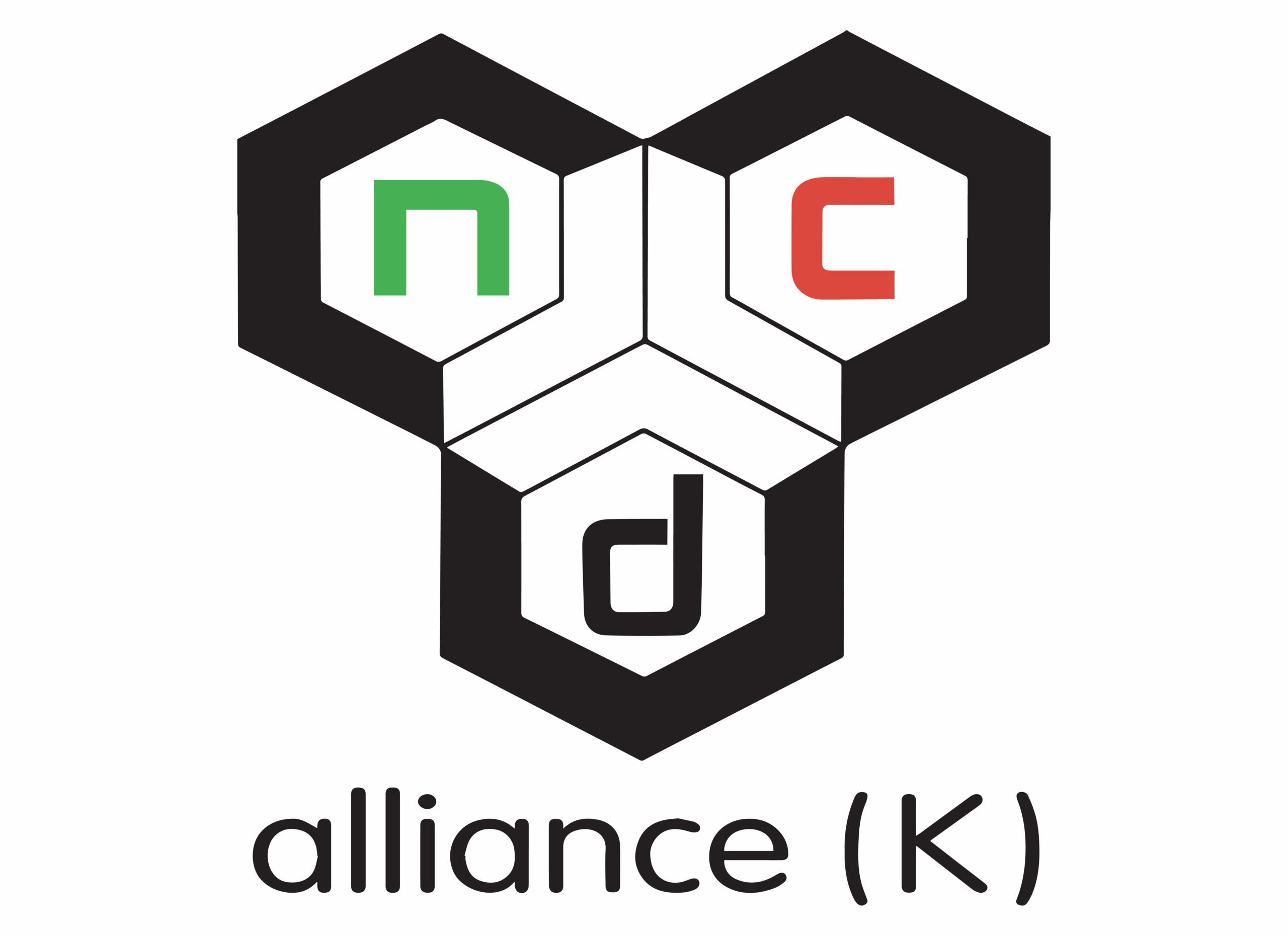 ncd alliance kenya logo 01