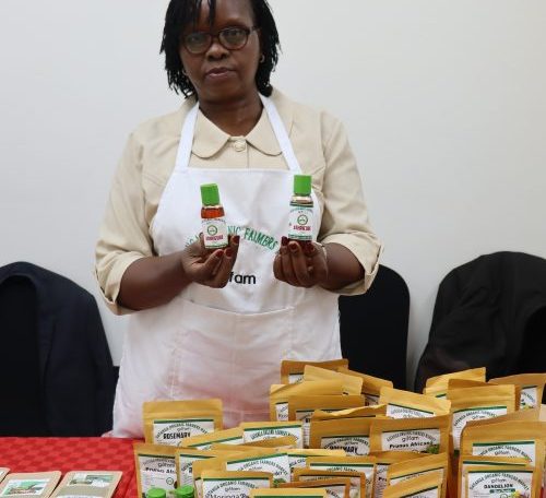 Njeri a farmer from Kigio village, Gatanga Sub county Murang’a during the launch of ‘food farmacy’ initiative, in Murang’a town on November 6, 2025.